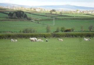 Valley View Country House Bed And Breakfast Bushmills Exteriér fotografie